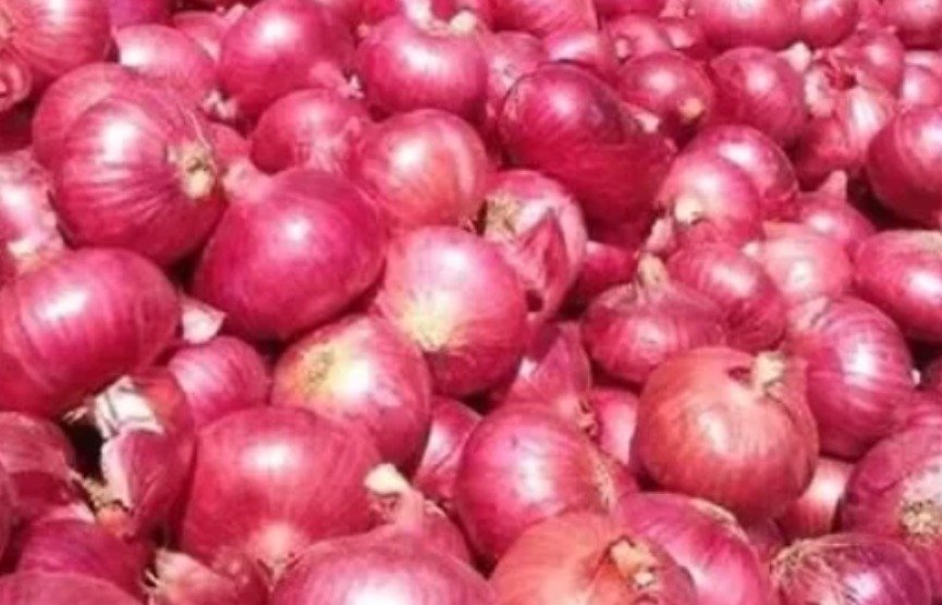 Delifro - Exporter company In India