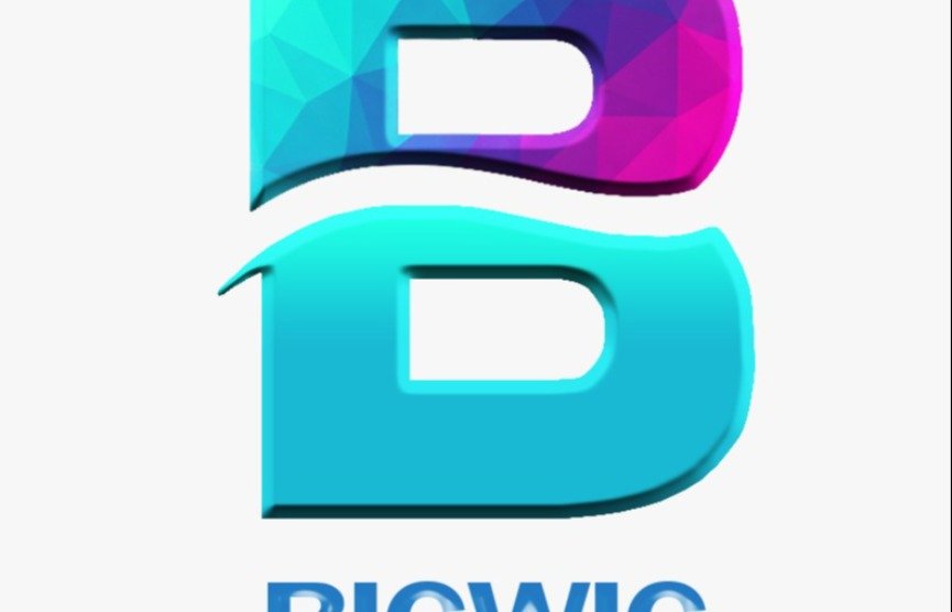 Bigwigmediadigita