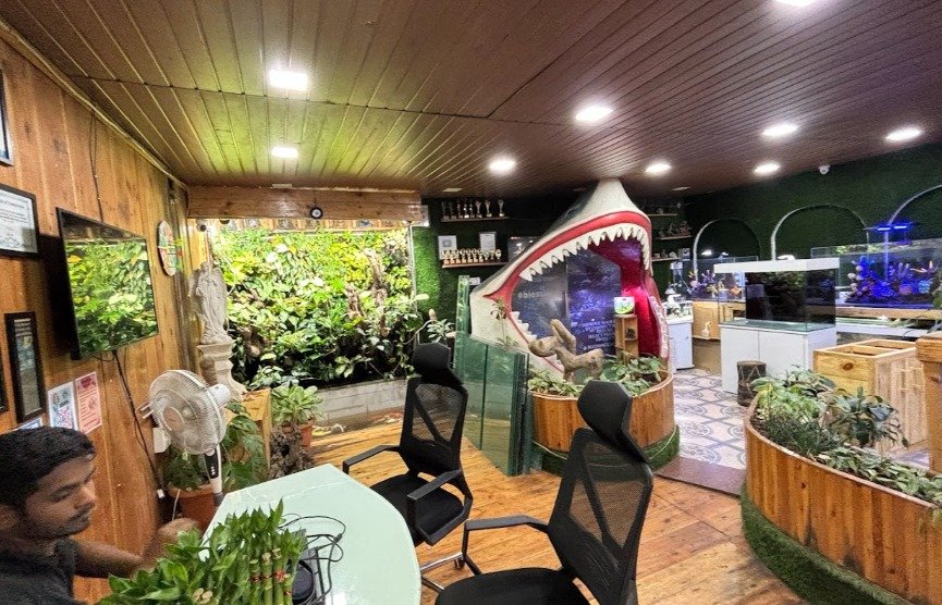 Aquarium Shop in Pune | Blessings