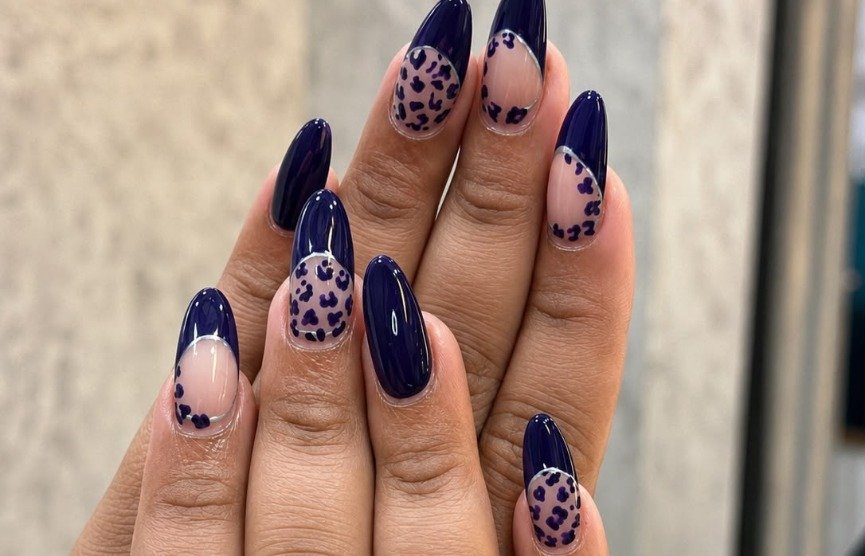 Nailash academy jaipur