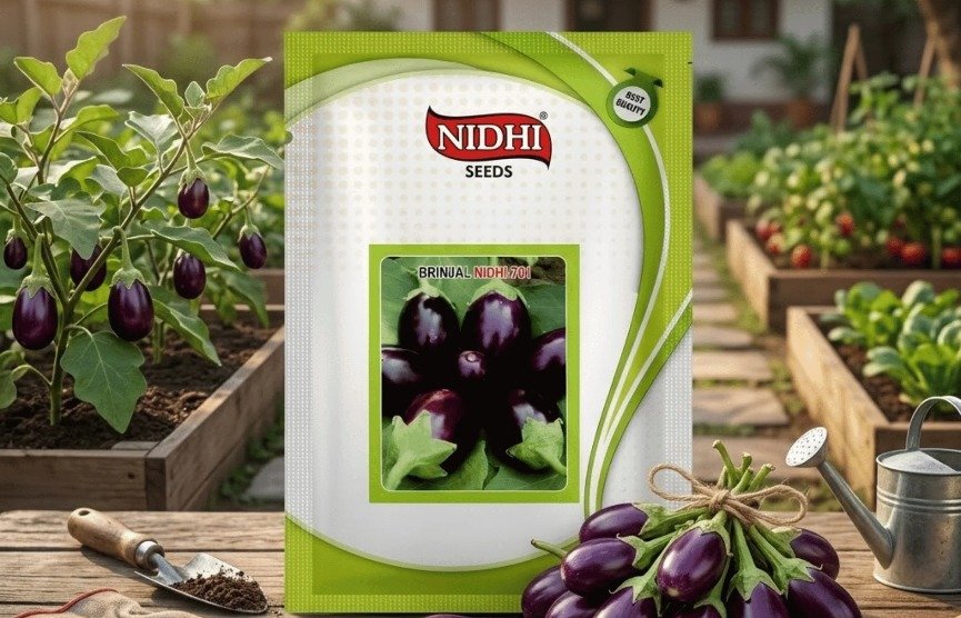 Nidhi Kitchen Garden