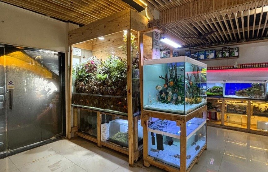 Aquarium Shop in Pune | Blessings
