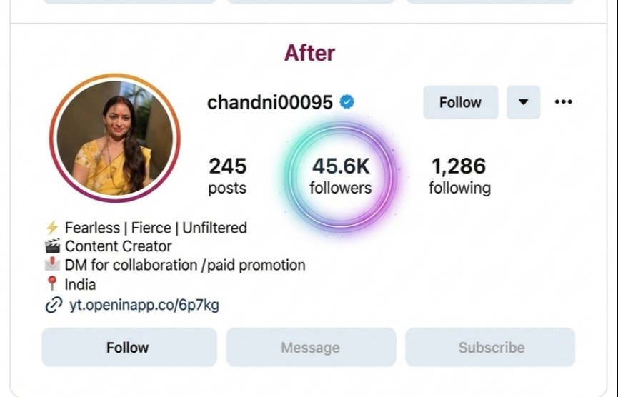 Real Instagram Followers